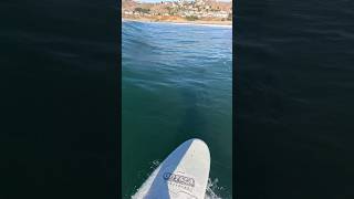 This wave was so satisfying norcal surfing sonoma marin [upl. by Akemehs]