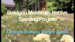 KlamathSiskiyou Native Seeds Siskiyou Mountain Native Seeding Project [upl. by Mcclenon]