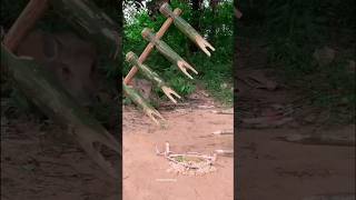 Create Amazing Pig Trap  Creative DIY Bird Trap shorts [upl. by Deutsch102]