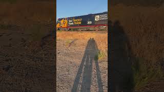 Amtrak OLS Unit Leads Amtrak Coast Starlight At 20th Street Wye Track 2 [upl. by Silvain313]