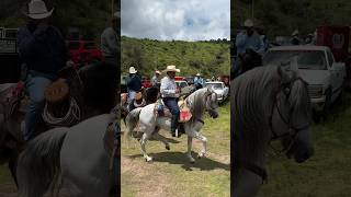 Así baila su caballo un señor de rancho caballos baile rancho [upl. by Lundberg]