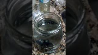 Benefits of borax and shungite water [upl. by Gnuy933]