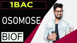 svt 1bac français international maroc plasmolyse et turgescence et osmose [upl. by Ahsenauj411]