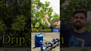 Drip system in baagwani 🌱 [upl. by Eneres]