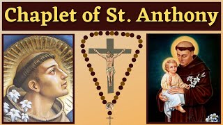 Chaplet of St Anthony of Padua For 13 Petitions amp Favors [upl. by Anead]