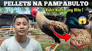 Paano Patabain  Pellet na Pampataba  Peejay Vergara [upl. by Evvie]