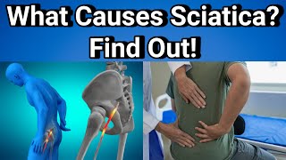 What is Sciatica Discover the Truth Behind the Pain [upl. by Filipe]