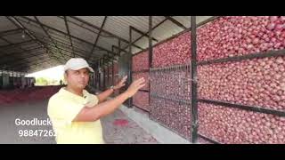 Tour of our Onion Storage Warehouse  Godown in Nashik Maharashtra [upl. by Forsyth]