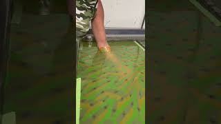 Hydro Dipping Hand 🇮🇳 satisfying hydrodipping [upl. by Tserof605]