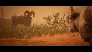 Red Dead Online Legendary Rutile Horn Ram Mission Legendary Animal Red Dead Online Harriet Mission [upl. by Sheline]