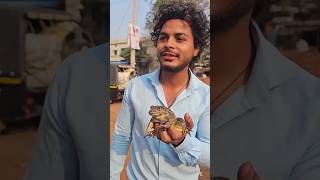 मेंढक🐸को Market घूमाने जानाfrog funny [upl. by Nylidam]