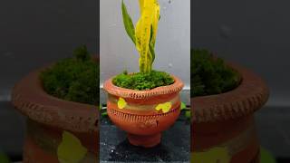 Using misti doi pot as planter littlecutting planterpots decorative moss relaxing shorts [upl. by Quitt699]