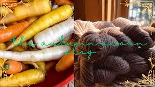 Dyeing Wool With Black Walnut  Harvesting Carrots A Vlog [upl. by Nnayrrehs]