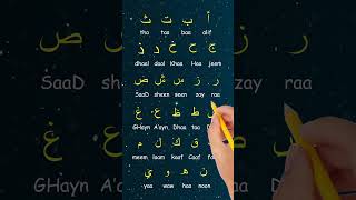 MEMORIZE The Alphabet Alphabet arabic arabicletters arabicalphabet learnarabic arabiccourse [upl. by Sumedocin]