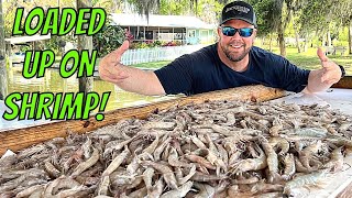 HOW TO DIP NET SHRIMP AT NIGHT  Catch  Clean  Cook [upl. by Coheman314]