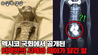 최근 멕시코 청문회에서 공개된 외계인의 사체와 충격적인 폭로들 총정리 미스터리 [upl. by Aihcila]