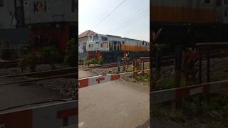 TUT TUTKERETA API shorts subscribe youtubeshorts [upl. by Ilatan]