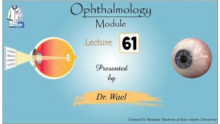 61 Eye and the brain 1 Papilloedema Dr Wael Ophthalmology [upl. by Aihsele]