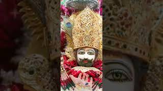 balak hu main tero shyam mujhko nibha 🙏🏻shyam bhajan 4k hd status khatu Shyam Jishorts khatudham [upl. by Winnifred]