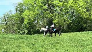 Horses finishing CCR course at the MLEC CCE in Lancaster KY [upl. by Mcnalley]