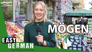 Irregular Verbs Mögen  Super Easy German 103 [upl. by Skinner]