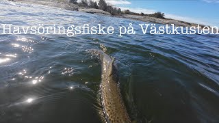 Fiske på Västkusten [upl. by Gardner483]