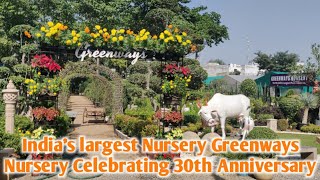 North Indias largest Nursery Greenways Nursery Celebrating 30th Anniversary Best Quality Plants [upl. by Kosse489]