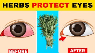 8 Herbs That Protect Eyes and Repair Vision [upl. by Ades]