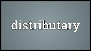 Distributary Meaning [upl. by Maon]