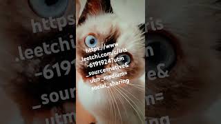 Aider Iris 🙏 httpswwwleetchicomciris6191924utmsourcenativeamputmmediumsocialsharing [upl. by Sjoberg]