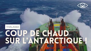 Coup de chaud sur lAntarctique  Thalassa [upl. by Studley]