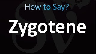 How to Pronounce Zygotene correctly [upl. by Chen963]