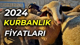 KURBANLIK KOÇ FİYATLAR  HAYVAN PAZARI GÜNCEL FİYATLAR [upl. by Schramke]