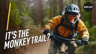 ITS THE MONKEY TRAIL Cannock Chase MTB Much good fun [upl. by Eenar48]