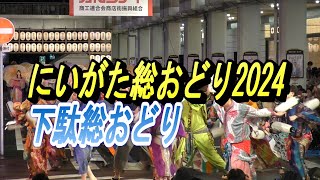 【新潟イベント】にいがた総おどり2024にいがた総おどり 万代新潟県新潟総踊りダンス2024 09 15 200124 [upl. by Rehotsirhc897]