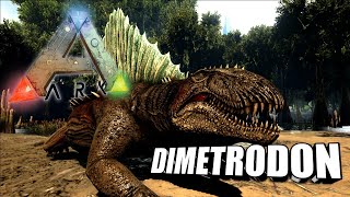 Taming A Dimetrodon  Ark Survival Evolved  The Island [upl. by Nannoc]