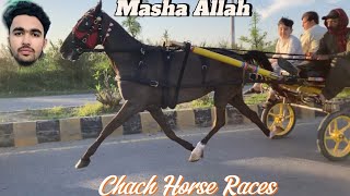 Masha Allah Horse racing fastest horsehorse horseracing viralvideo [upl. by Attirehs]