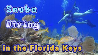 What its Like to go SNUBA Diving in the Florida Keys [upl. by Airbmak]