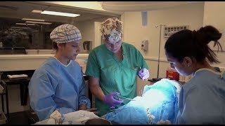 SynDaver Surgical Lab at the 2019 New York State Veterinary Conference [upl. by Aryt]