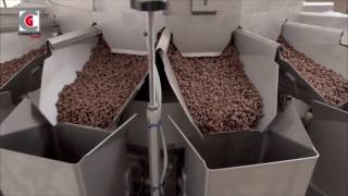 PETFOOD  MULTIHEAD WEIGHER PACKING MACHINE [upl. by Enelrac]