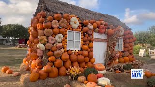 Fall Festival returning to Dewberry Farm [upl. by Doralynn158]