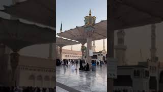 Yo to jannat mein sab hi madin nahi madina shortvideo islamicvideo [upl. by Banebrudge]