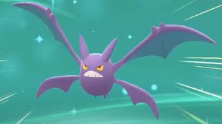 How to get CROBAT Happiness Evolution  Pokemon Brilliant Diamond amp Shining Pearl Evolve Golbat [upl. by Dragone]