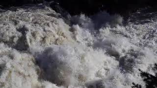 Lamar River Spring Runoff Yellowstone [upl. by Nosirrag]