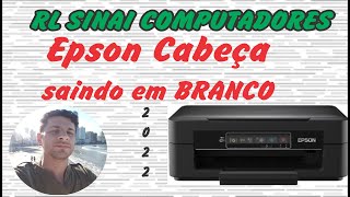 Impressora Epson saindo em branco cabeça ou placa L3110 L3150 L4150 L4160 L455 L355 L380 L3260 [upl. by Ivey]