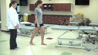 Muscle Length for Gastrocnemius Soleus and Psoas Major [upl. by Enalb]