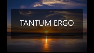 TANTUM ERGO Latin amp English  By Michael Leong [upl. by Bevon890]