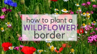 How to plant a Wildflower Border [upl. by Tamer]