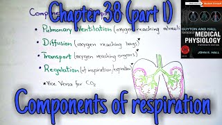 Components of respiration  chapter 38 part 1 Guyton and Hall text book of physiology [upl. by Artemahs]