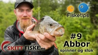 Fisketips 9 med Skitt Fiske  Abborfiske med spinner og sluk [upl. by Sivia]